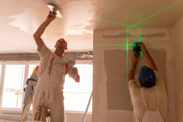 Best Emergency Mold Remediation  in Mckees Rocks, PA